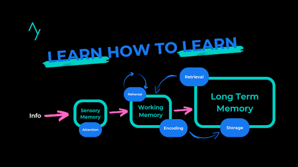 How to Use Active Recall to Remember What You Study